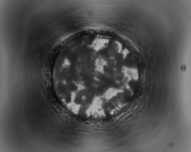 X0000103320822200810171359