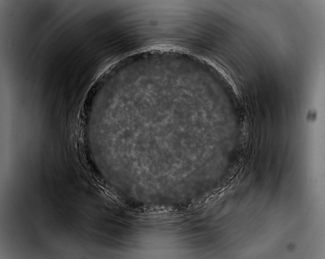 X0000103320823200810171359