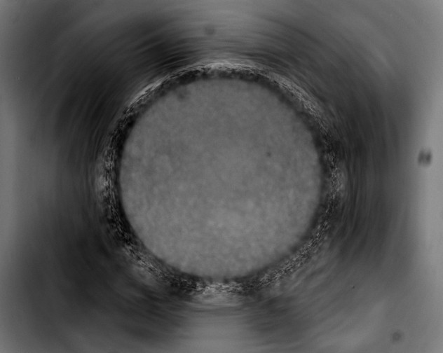 X0000103320824200810171359