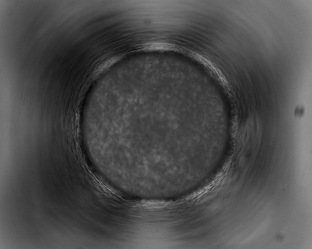X0000103320825200810171359