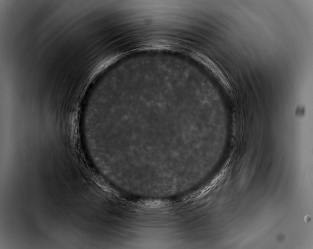 X0000103320826200810171359