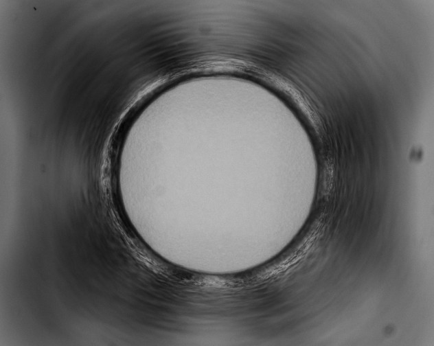 X0000103320827200810171359