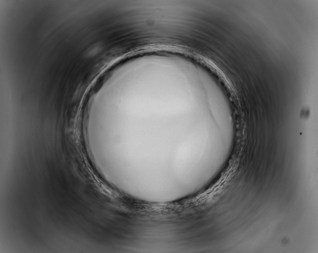 X0000103320828200810171359