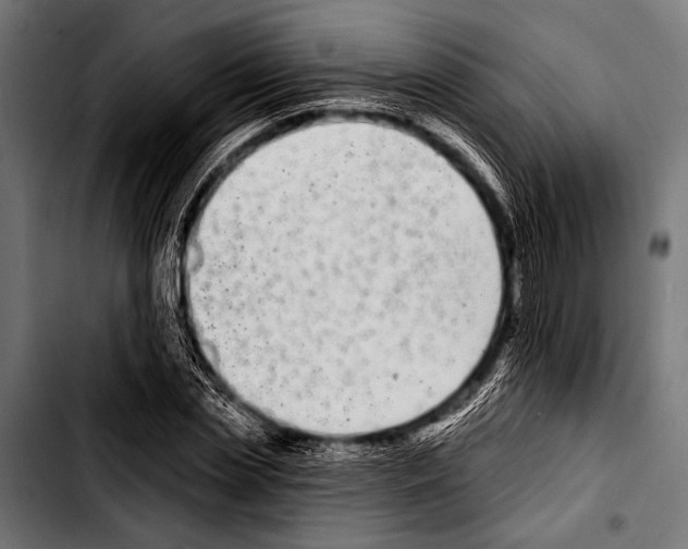 X0000103320829200810171359