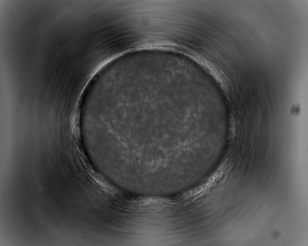 X0000103320830200810171359