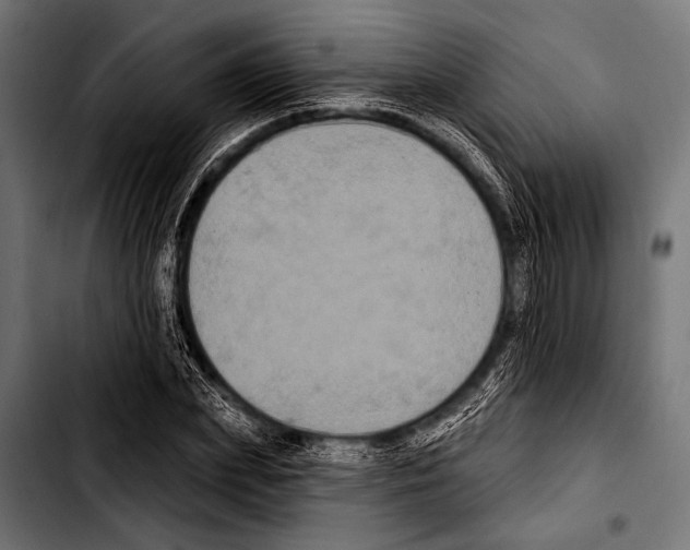 X0000103320831200810171359