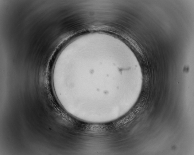 X0000103320832200810171359
