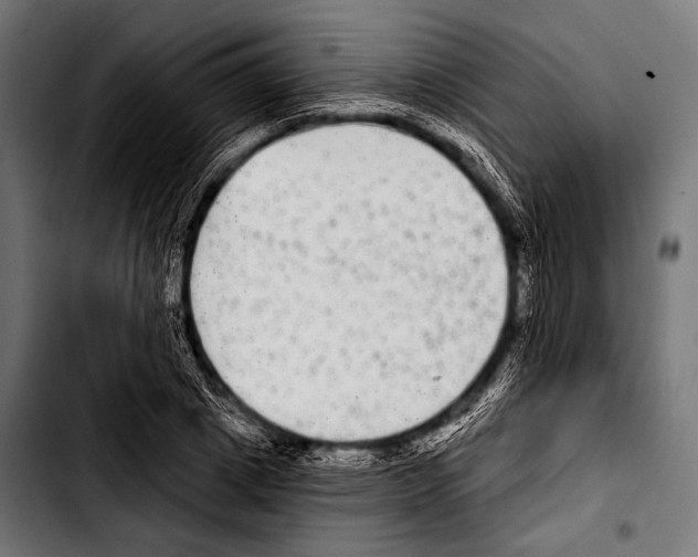 X0000103320833200810171359