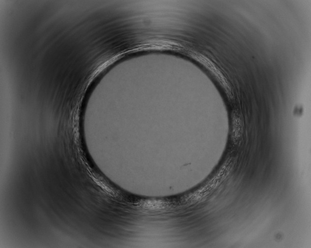 X0000103320834200810171359