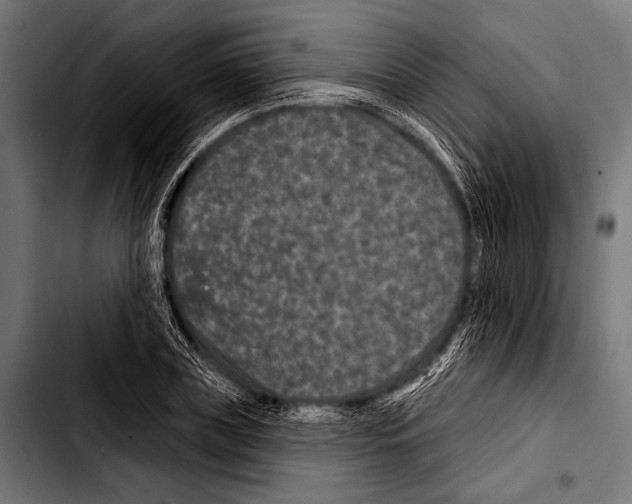 X0000103320835200810171359