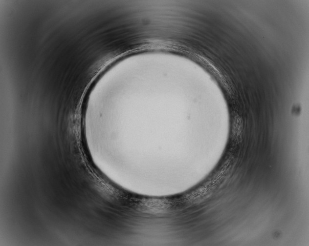 X0000103320836200810171359