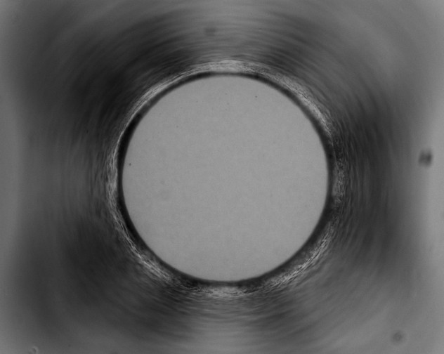 X0000103320837200810171359