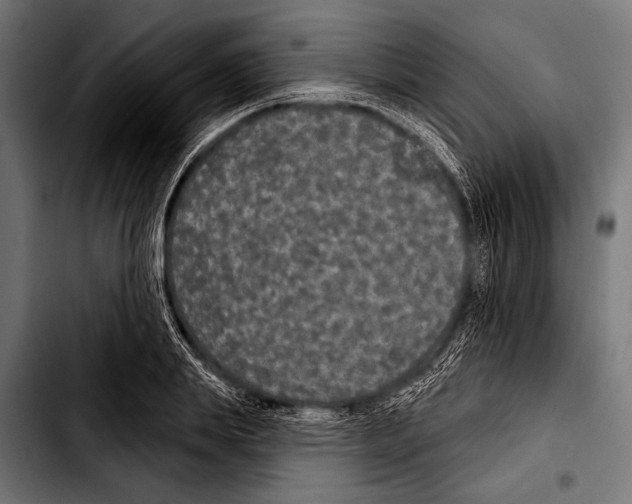 X0000103320839200810171359