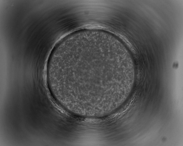 X0000103320840200810171359