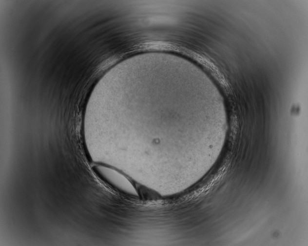X0000103320841200810171359