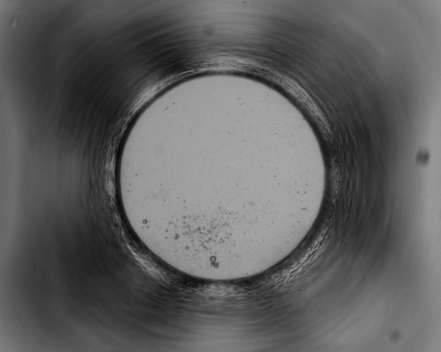 X0000103320842200810171359
