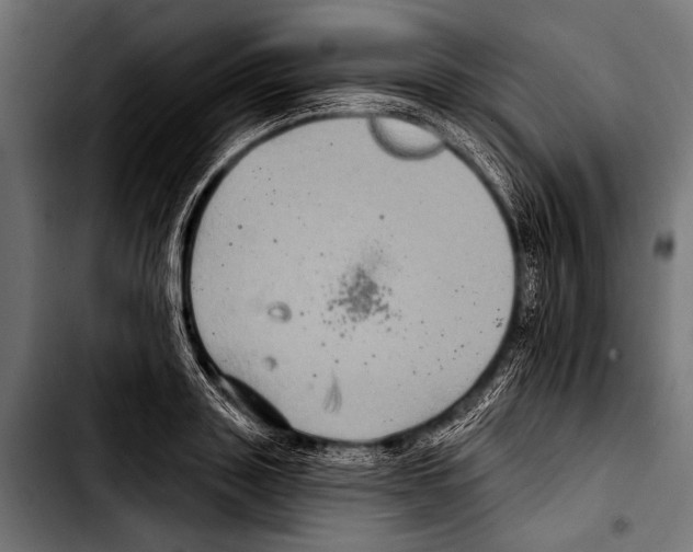 X0000103320843200810171359