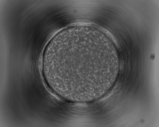 X0000103320844200810171359