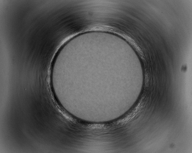 X0000103320846200810171359
