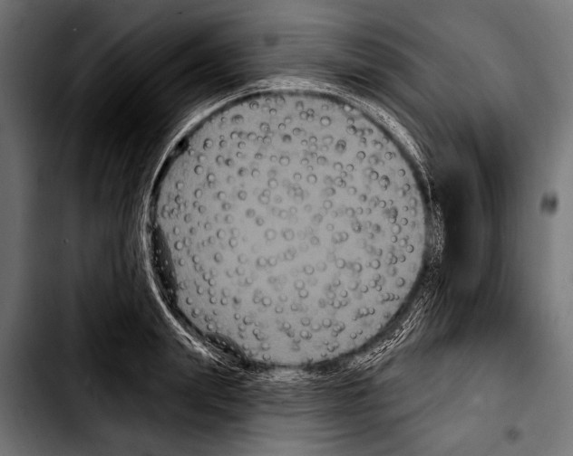 X0000103320847200810171359