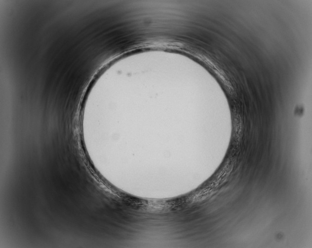 X0000103320848200810171359