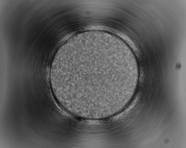 X0000103320849200810171359