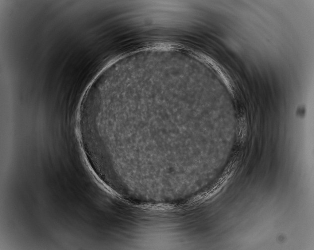 X0000103320851200810171359
