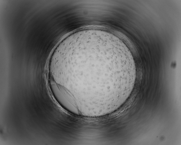 X0000103320852200810171359