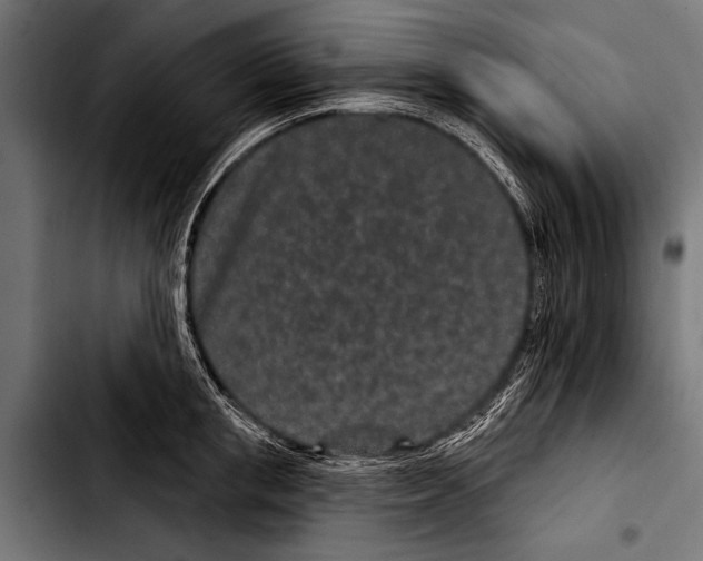 X0000103320853200810171359