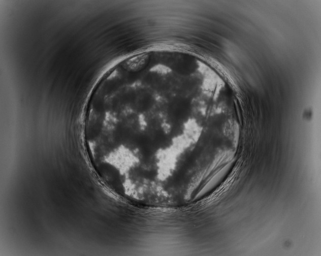 X0000103320854200810171359