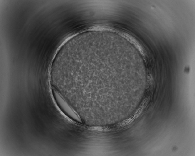 X0000103320855200810171359