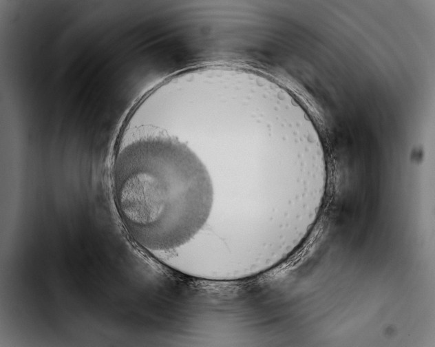 X0000103320856200810171400