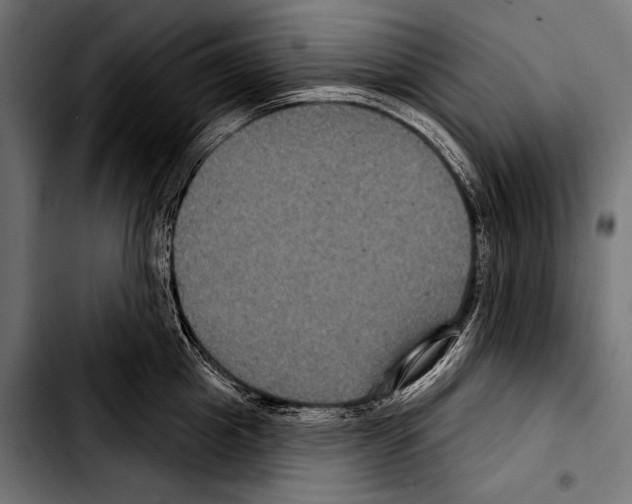 X0000103320857200810171400