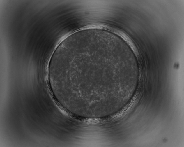 X0000103320858200810171400