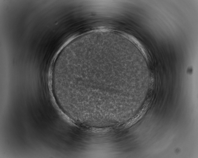 X0000103320859200810171400