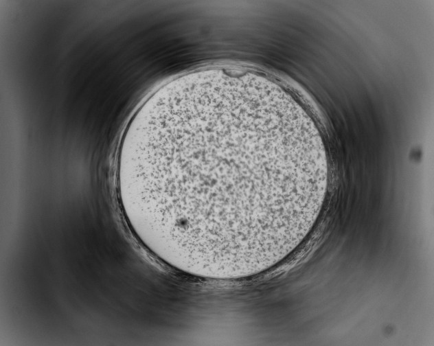 X0000103320860200810171400