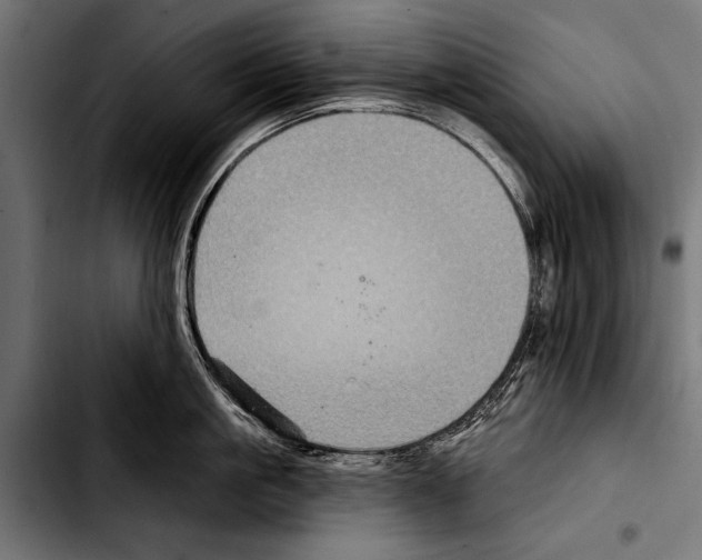 X0000103320861200810171400