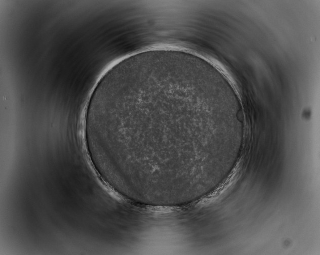 X0000103320862200810171400