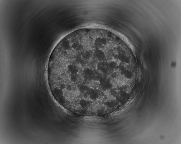 X0000103320863200810171400