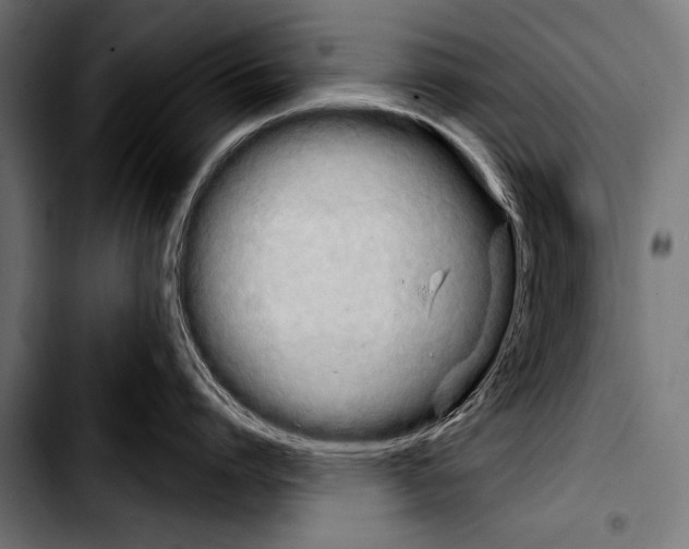X0000103320864200810171400