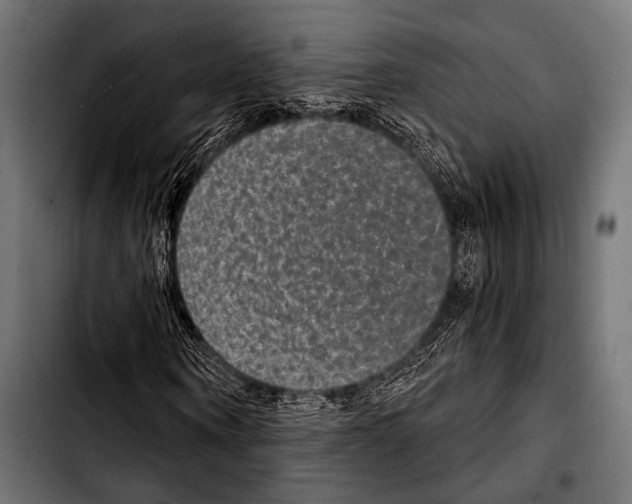 X0000103320866200810171359