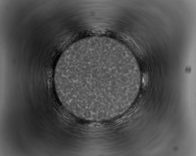 X0000103320867200810171359