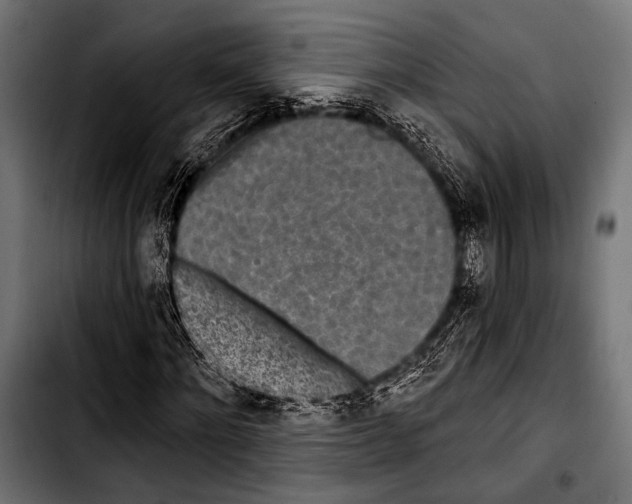 X0000103320868200810171359