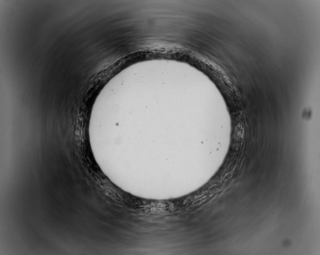 X0000103320869200810171359