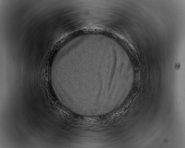 X0000103320870200810171359