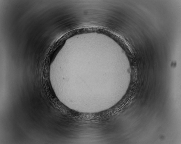 X0000103320871200810171359