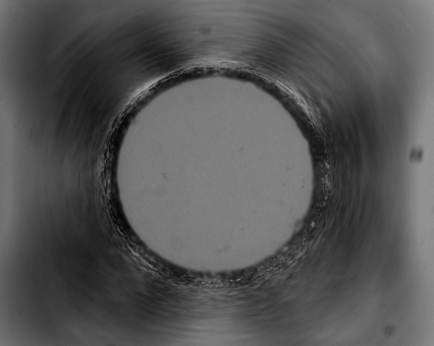 X0000103320872200810171359