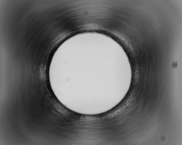 X0000103320873200810171359