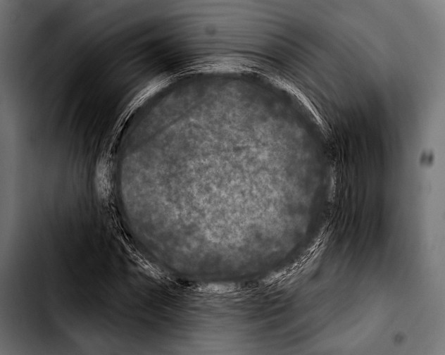 X0000103320874200810171359
