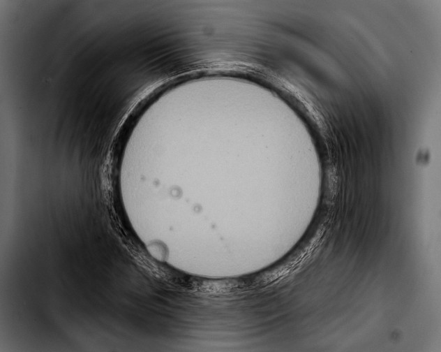 X0000103320875200810171359